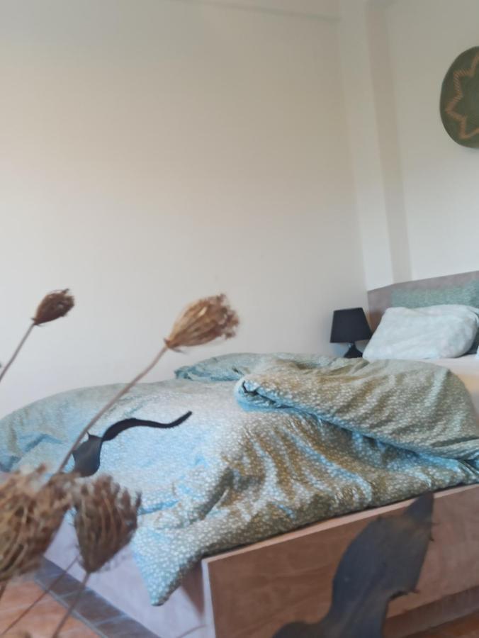 Knots Apartments Agios Nikolaos  Екстериор снимка